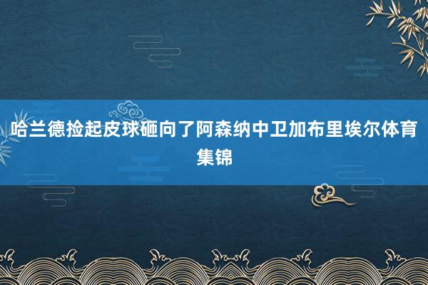 哈兰德捡起皮球砸向了阿森纳中卫加布里埃尔体育集锦