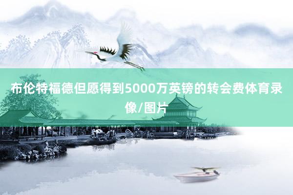 布伦特福德但愿得到5000万英镑的转会费体育录像/图片